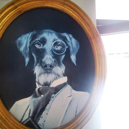 Апартаменти Charming Portuguese Style Apartment, For Rent 