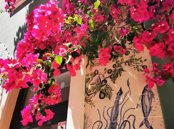 Charming Portuguese Style Apartment, For Rent 