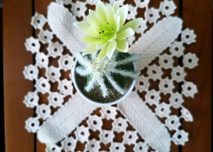 Charming Portuguese Style Apartment, For Rent 