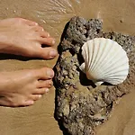 Charming Portuguese Style Apartment, For Rent 