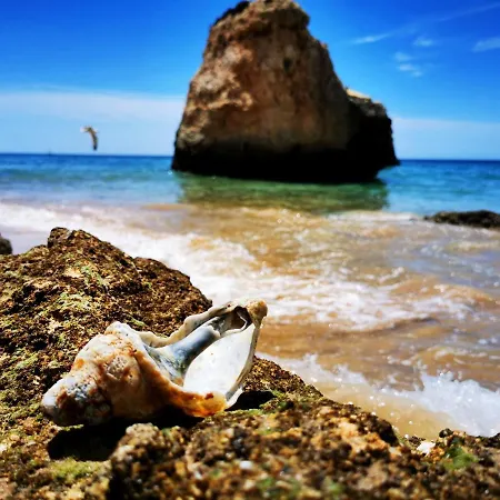 Διαμέρισμα Charming Portuguese Style Apartment, For Rent 