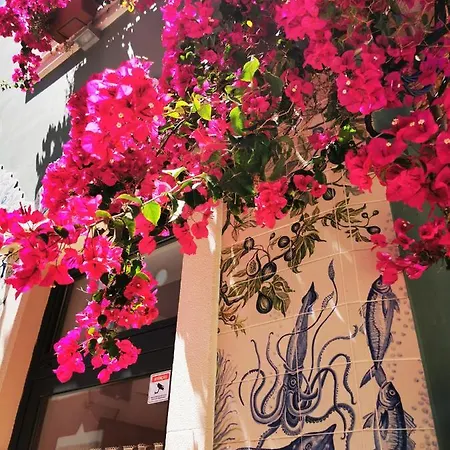 Charming Portuguese Style Apartment, For Rent Vida à Portuguesa, Fruta Or Polvo Local *
