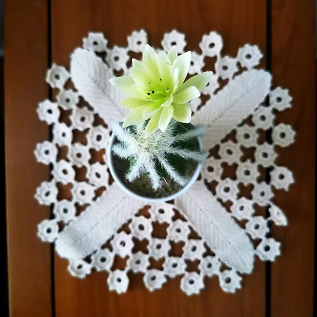 Charming Portuguese Style Apartment, For Rent 