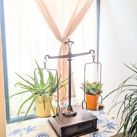 Charming Portuguese Style Apartment, For Rent Vida à Portuguesa, Fruta Or Polvo Local Appartamento