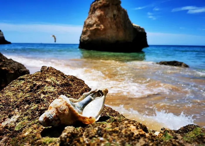 Apartamento Charming Portuguese Style Apartment, For Rent 