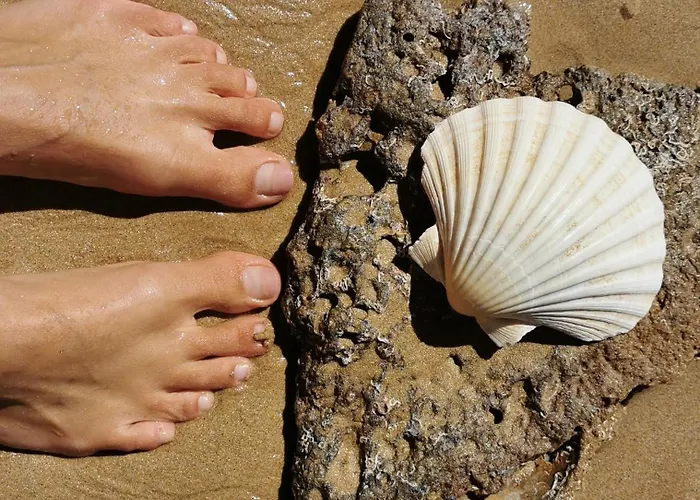 Charming Portuguese Style Apartment, For Rent 