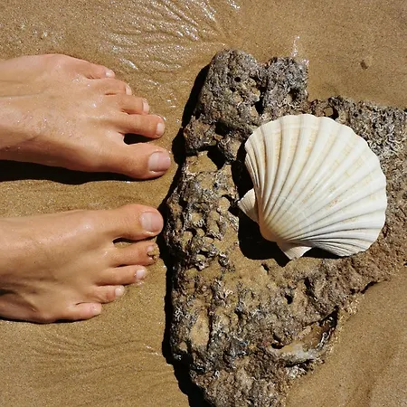 Vida A Portuguesa: Charming Portuguese-style